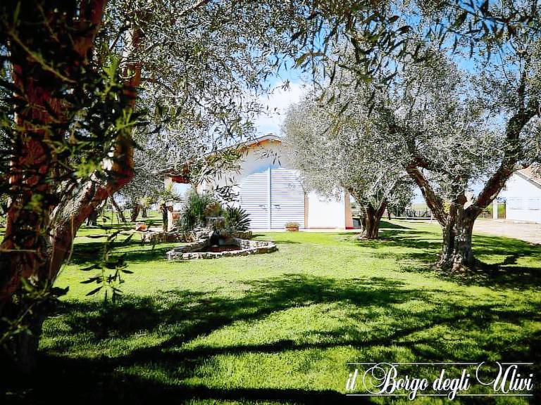 Il Borgo degli Ulivi: BILOCALE 11 — photo 5