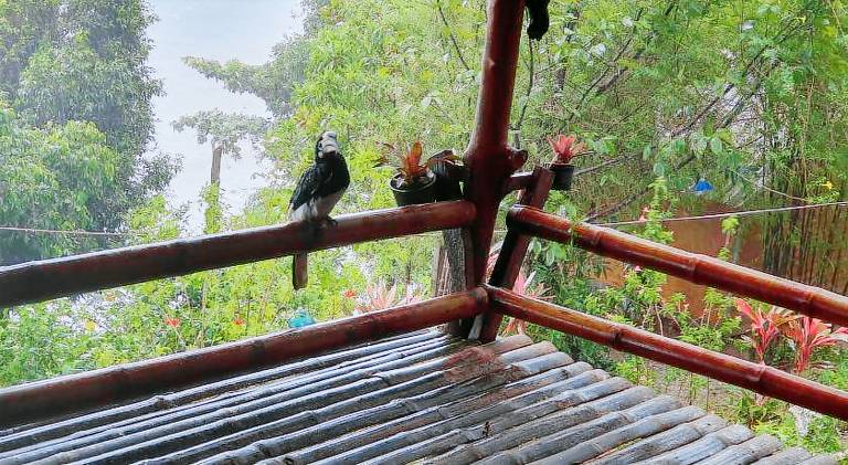Lovely house with terrace | Next to the beach | Pets allowed — photo 5