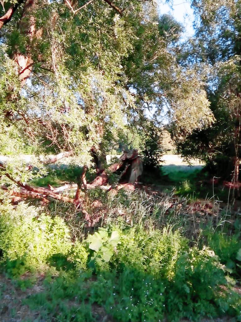foto4