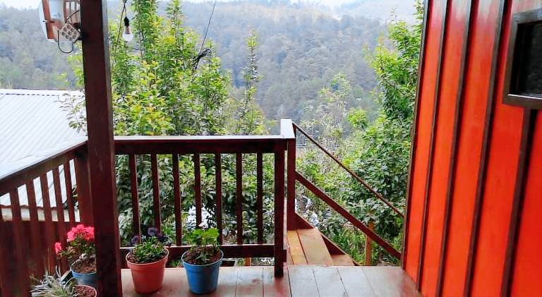 Beautiful holiday apartment | Dogs allowed in Oaxaca