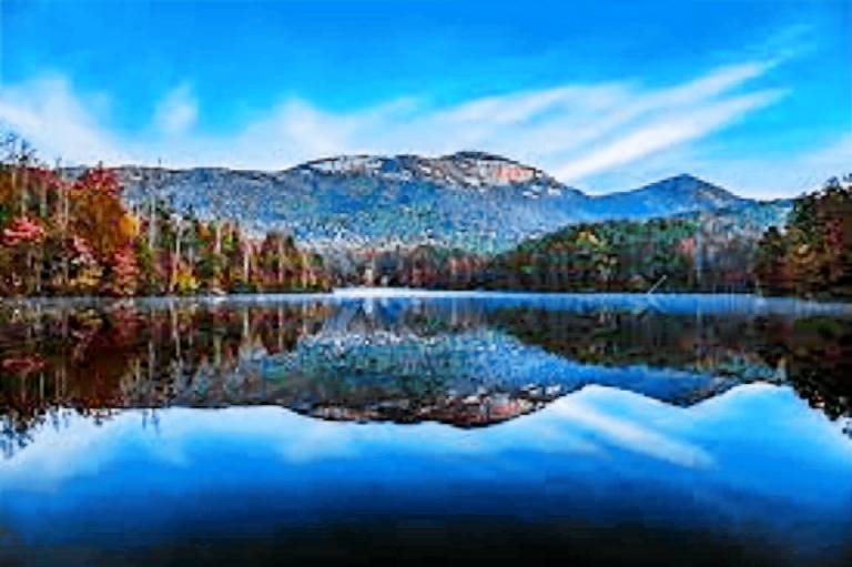 Cabin Pickens