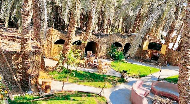 Arkan siwa أركان سيوة — photo 5