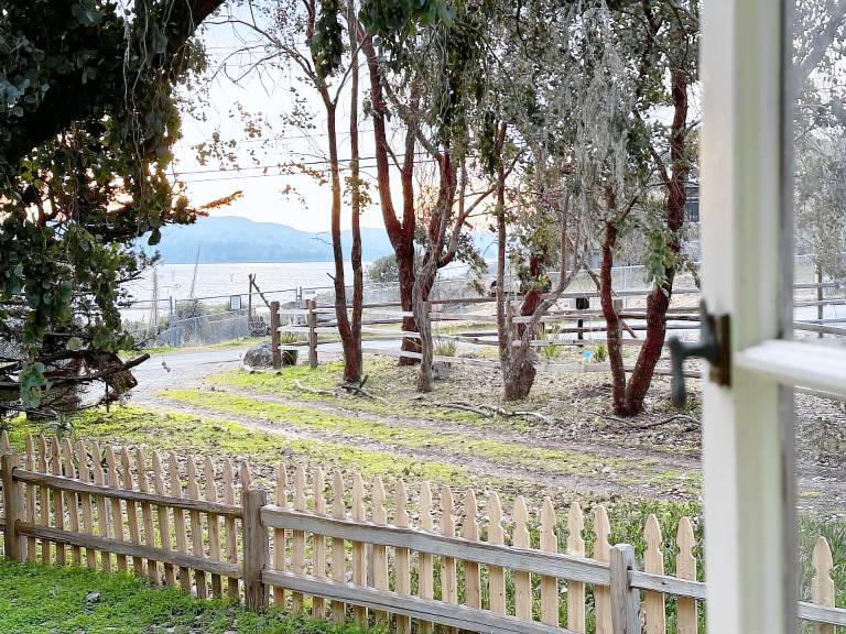 House Bodega Bay