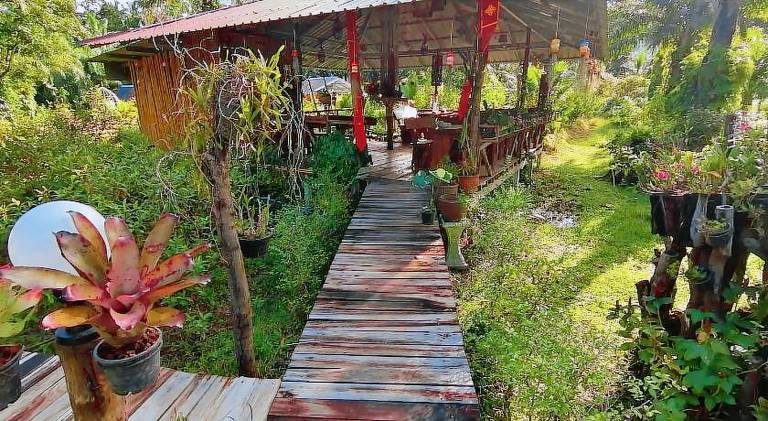Koom Kachanaan — photo 4
