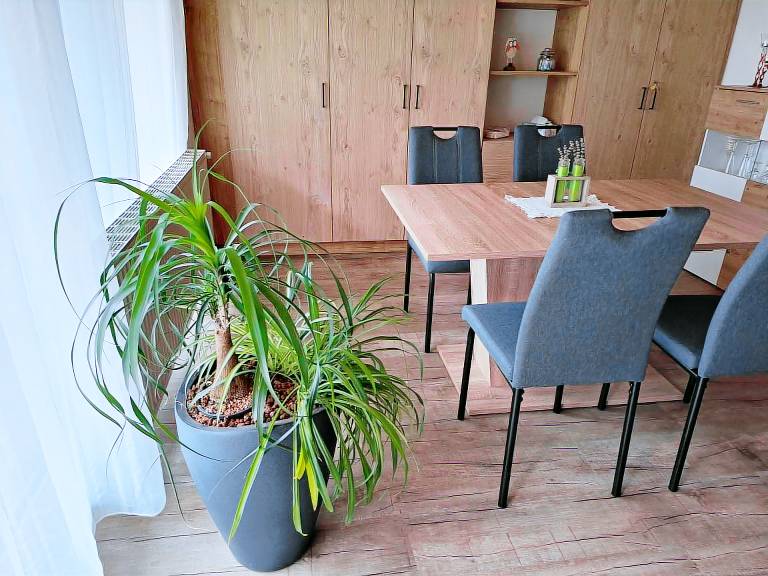 Family-oriented lovely holiday apartment with terrace | Garden view | Pets allowed — photo 5