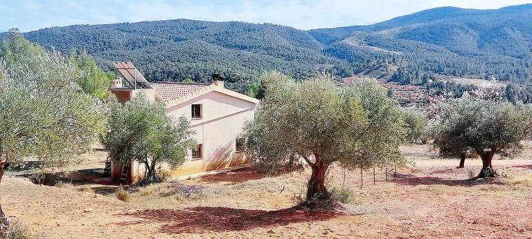 Casa  Cofrentes