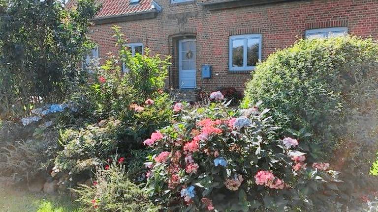 Ferienwohnung  Wurster Nordseeküste