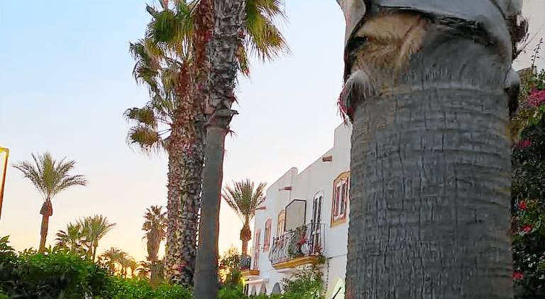 Big house | Beach nearby | Pets allowed in Playas