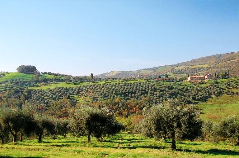 Villa La Rogaia: Il Peperino in Passignano sul Trasimeno