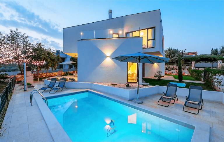 Child-friendly nice villa with garden, terrace & private pool | Pool view | Pets are welcome in Tar-Vabriga