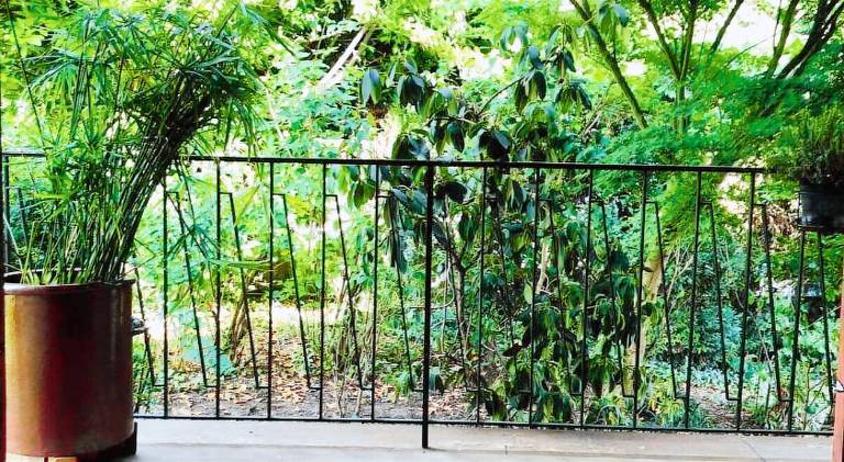 Beautiful house | Pet-friendly — photo 5
