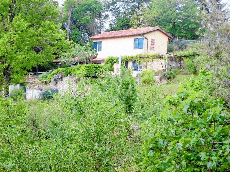 House with barbeque, patio & yard — photo 2