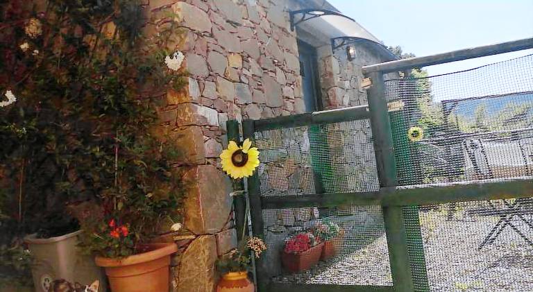 Maremonti — photo 5