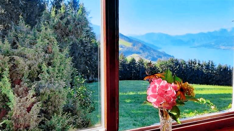 Ferienwohnung Attersee