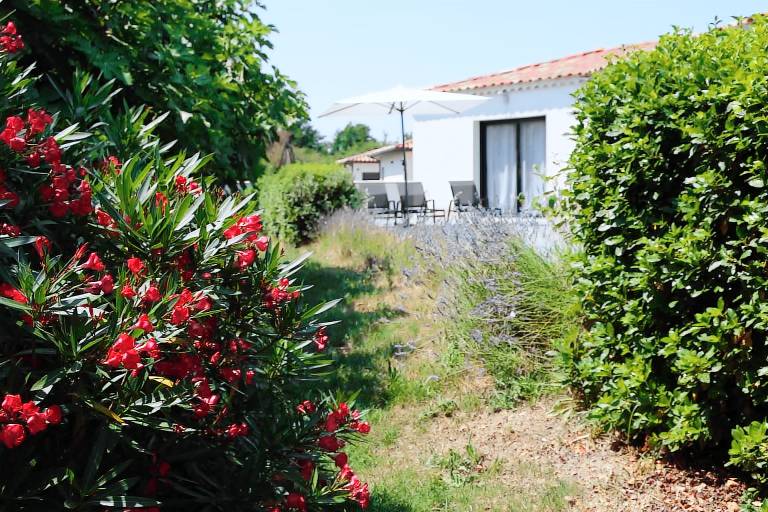 Villa with barbeque, yard & private pool — photo 4