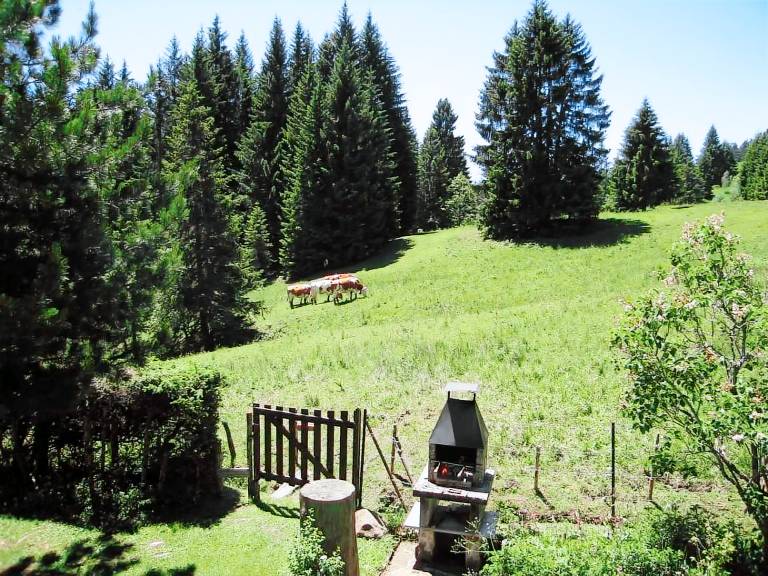 Chalet Châtel-Saint-Denis