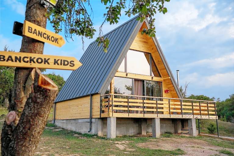 Cabin Bilcești
