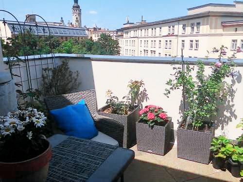 Serviced apartment  Probstheida