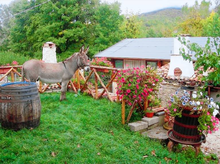 Privatzimmer Aglioni