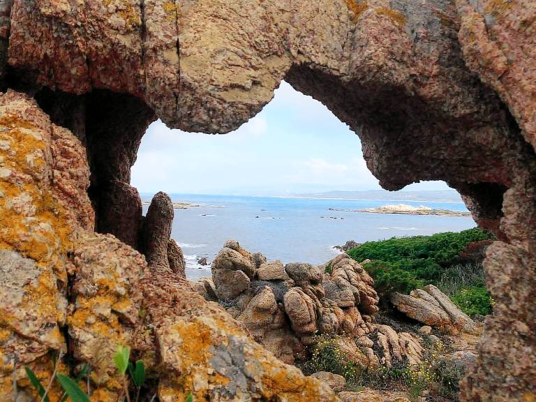 Appartement en copropriété  Bonifacio