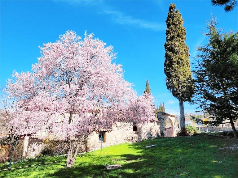 Chambre d'hôtes  Montbrun-les-Bains