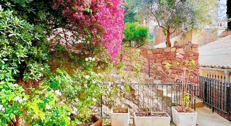 Nice rental apartment | Beach nearby | Pets allowed in Theoule-sur-Mer