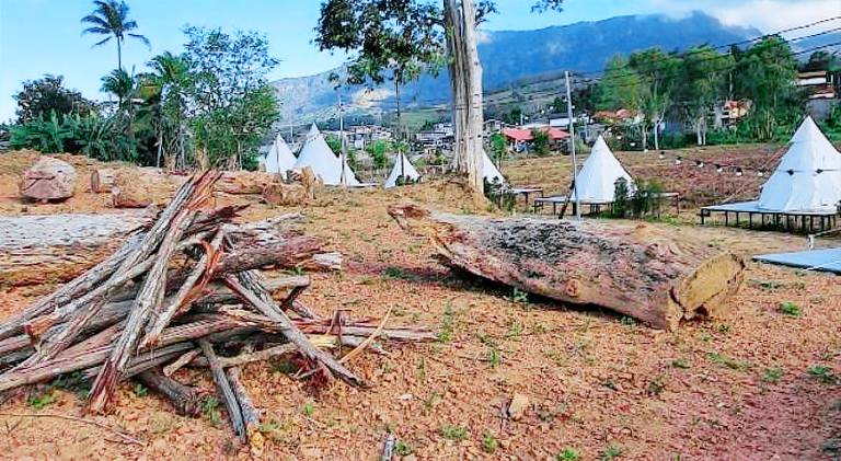 Casa Camp — photo 5
