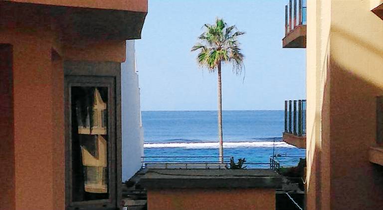 Apartment | Next to the beach | Dogs allowed — photo 5