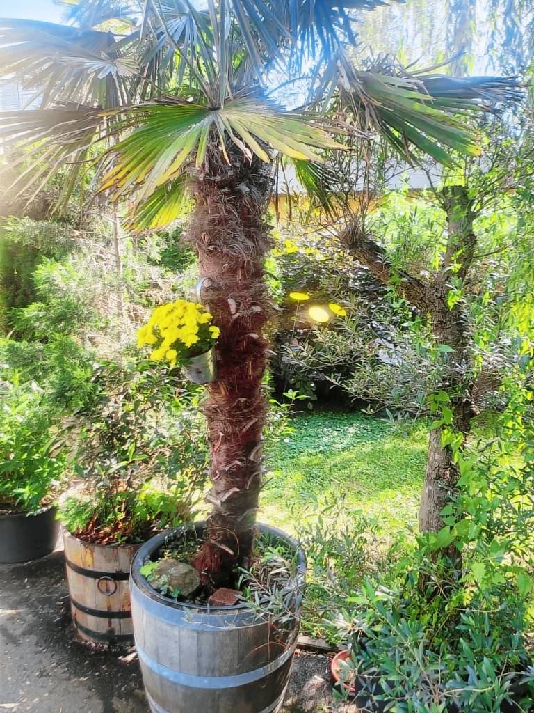 foto4