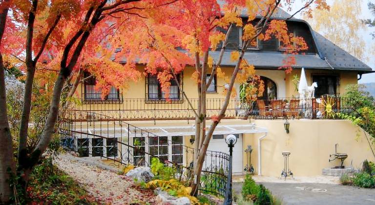 Hotel Restaurant - Hauserl im Wald Graz — photo 3
