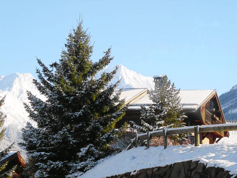 Chalet Courchevel 1650