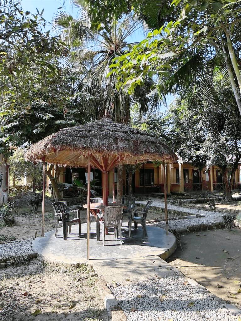 Hotel Chitwan Park Cottage — photo 3