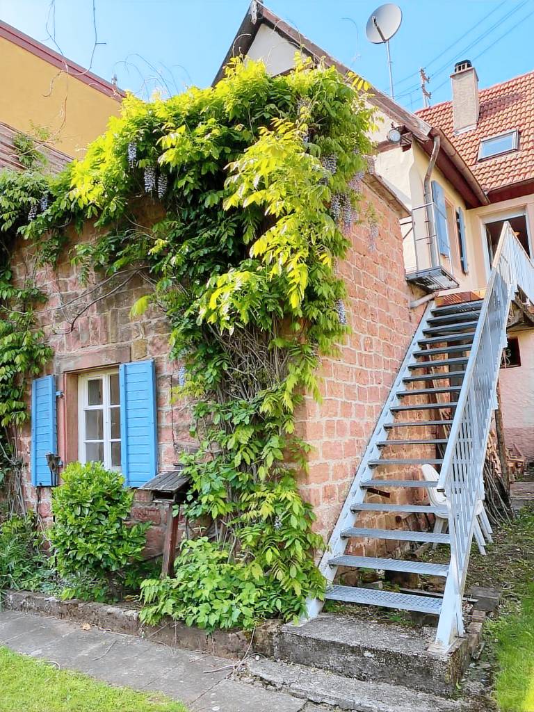 Fully equipped lovely vacation home with garden & terrace | Pets are welcome — photo 4