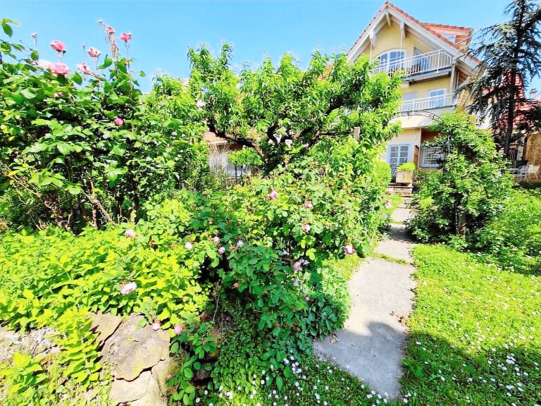 Ferienwohnung  Kaiserstuhl