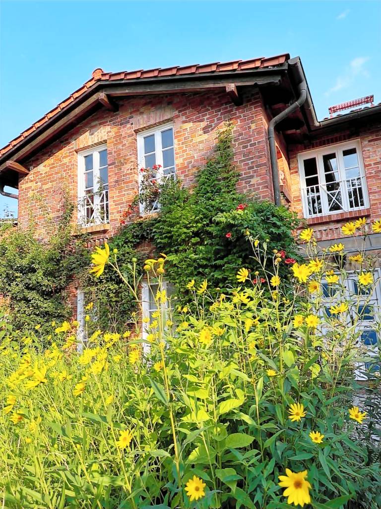 Ferienwohnung Bisdamitz