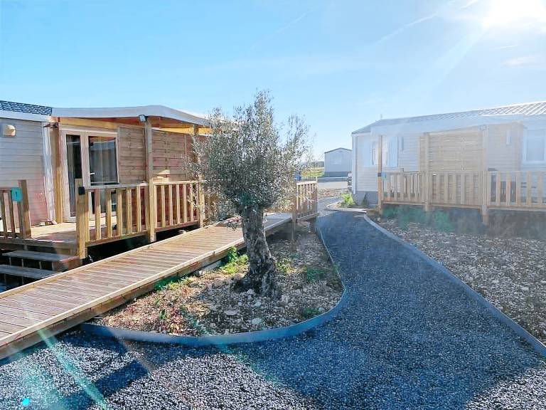Camping suite with pool — photo 2