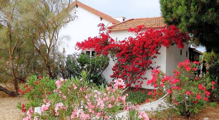 Vacation home with 4 rooms for 8 persons in Tavira