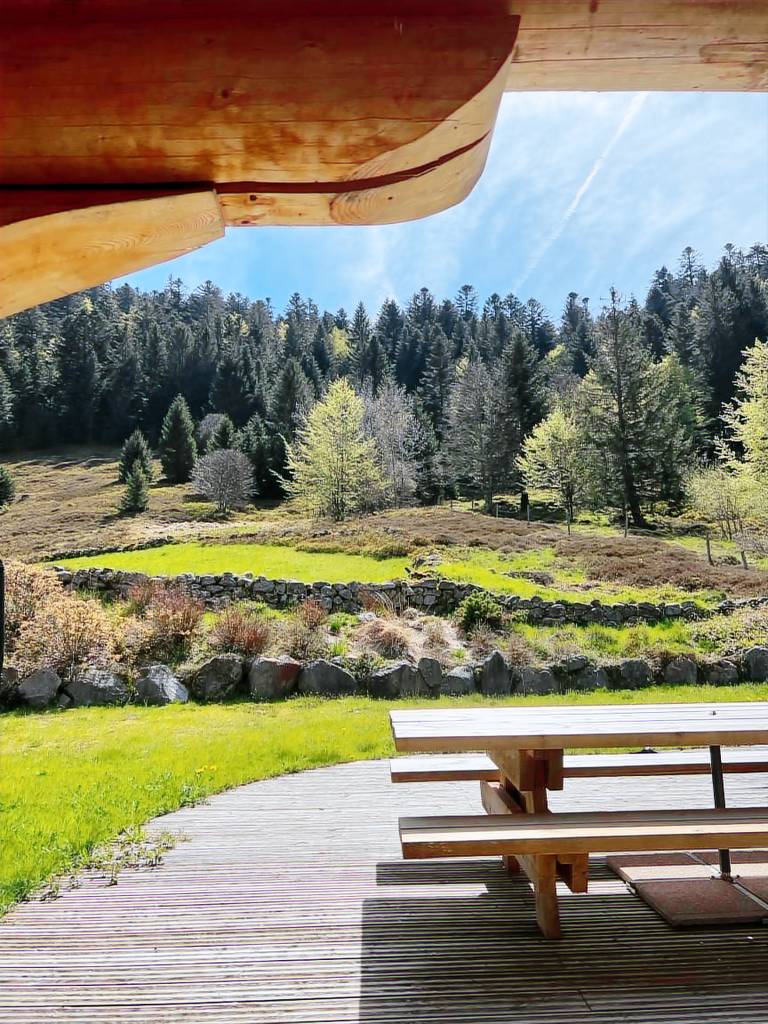 Child-friendly beautiful chalet with garden, sauna & BBQ | Panoramic view | Pets are welcome — photo 4