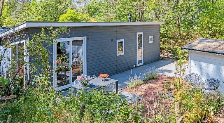 Chalet Doornspijk