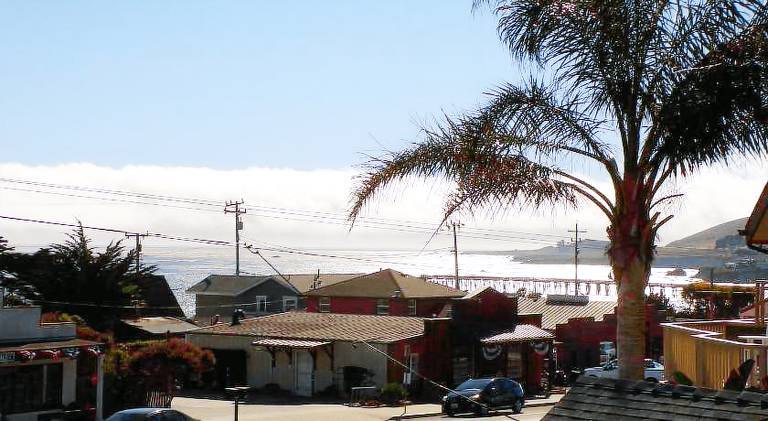 Cypress Tree Motel — photo 5
