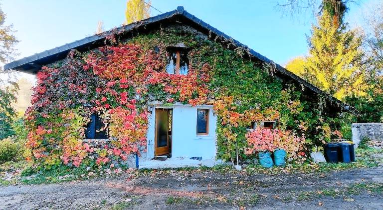 Villa with 1 room for 4 persons — photo 5