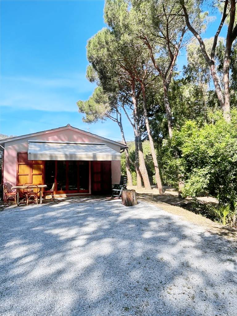 Holiday apartment with garden & patio — photo 4