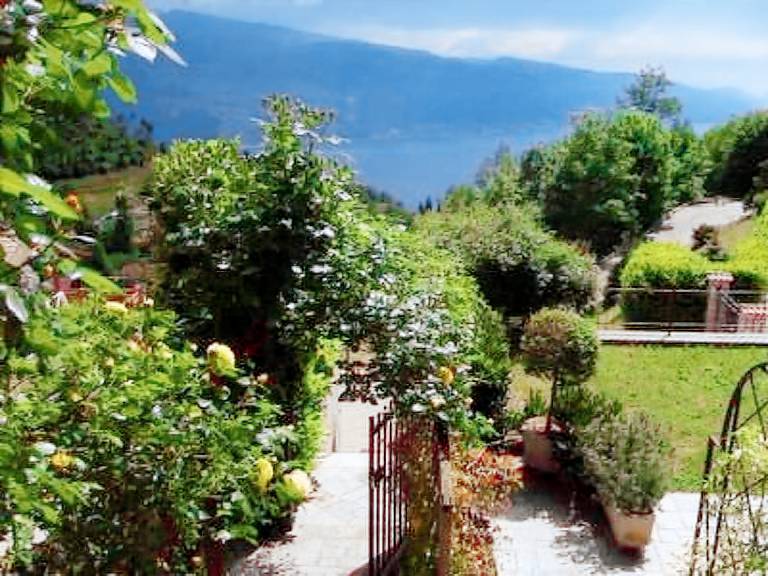 Haus Bella Vista — photo 3