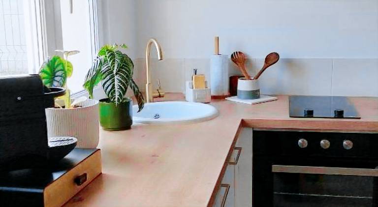 Nice vacation home | Dogs allowed — photo 2