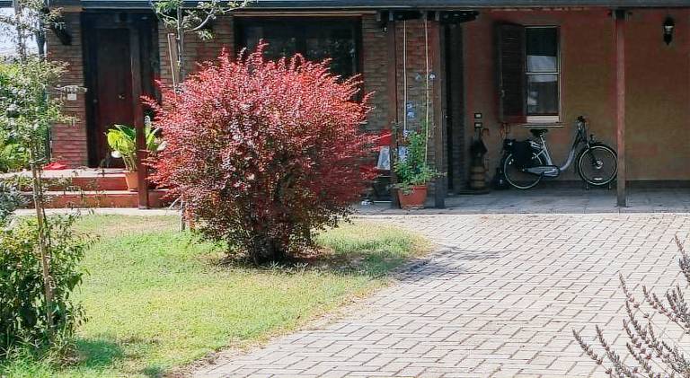 Holiday apartment | Dogs allowed in Assisi