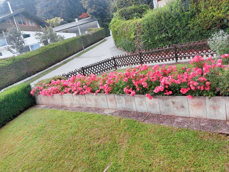 Apartment with garden | Lake view — photo 3
