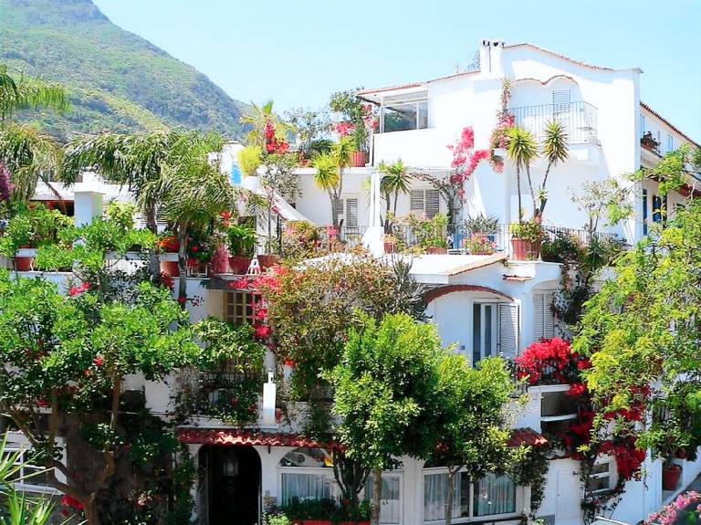 Hotel La Maggioressa in Ischia