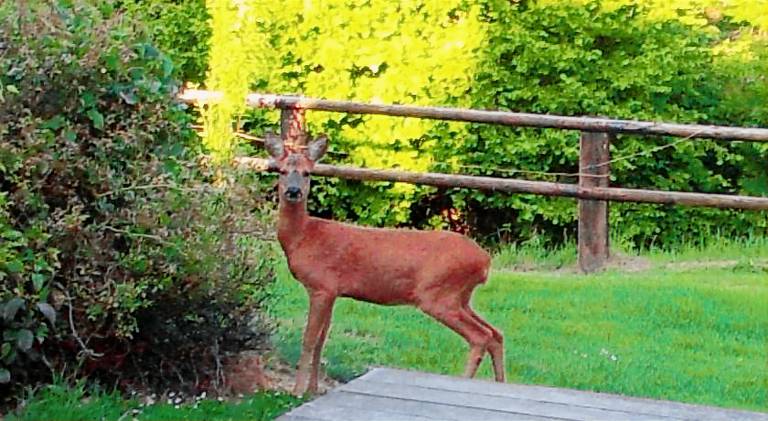 Maison de vacances Lisieux
