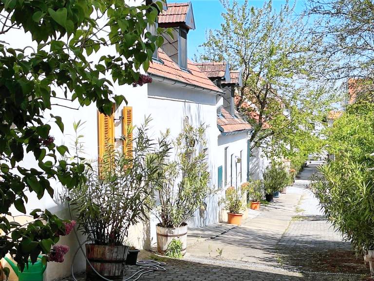 Ferienwohnung  Mörbisch am See