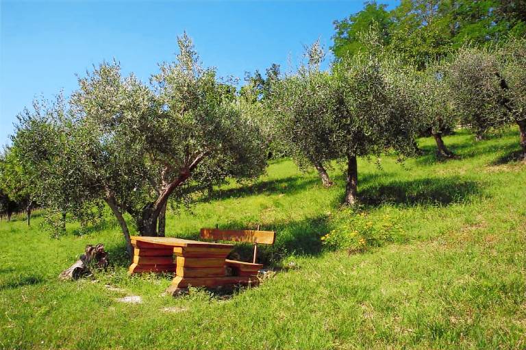 Ferienwohnung in Ripatransone für max. 2 Personen Ferienwohnung in Ripatransone für max. 2 Personen